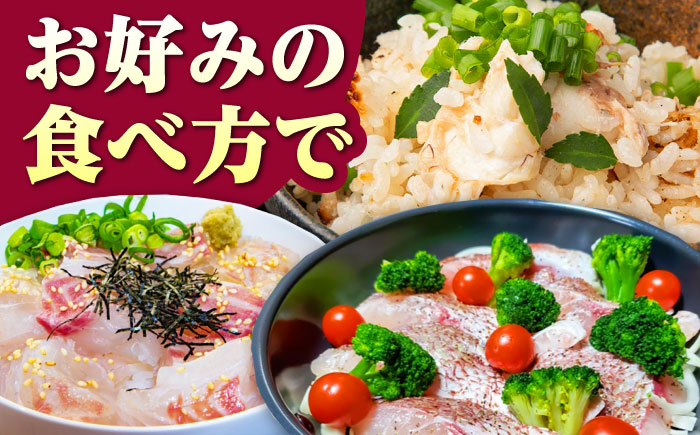 天然 桜鯛 フィーレ 500g 程度 《対馬市》【対馬新鮮組】 下処理済 鯛 真鯛 サクラダイ 新鮮 お祝い 冷凍配送 産地直送 [WCS013]