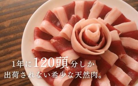 天然 猪肉 極上 ロース スライス＆ 鹿 挽肉 セット《対馬市》【一般社団法人 daidai】焼肉 赤身 肉 お肉 鹿肉 猪肉 BBQ 高タンパク プレゼント [WBH040]