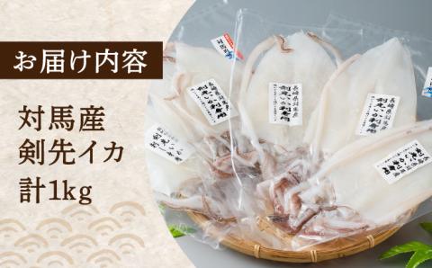 剣先イカ刺身セット1kg [WAD015]