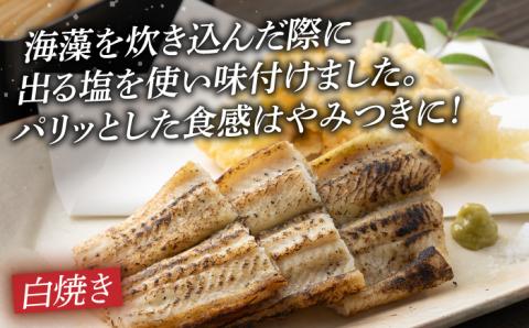 対馬穴子セット [WAD022]