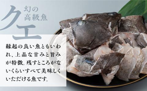 アラ（クエ）鍋用 カット 約1.8kg《対馬市》【丸徳水産】 [WAE002] くえ クエ クエ鍋 鍋 鍋セット 高級魚 魚 希少 冷凍 長崎 九州 つしま 対馬市 海鮮 魚介 2~3人前
