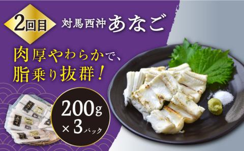 【全3回定期便】対馬産 海の幸定期便 《対馬市》【保家商事】 ウニ うに 穴子 アナゴ サザエ 刺身 海鮮 [WAA013]