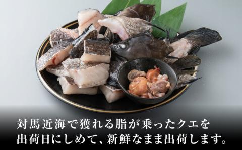 【2025年11月より順次発送】クエ 切り身 / 肝 セット 約1.5kg《対馬市》【いか吉工房】[WBO001] アラ くえ クエ クエ鍋 鍋 鍋セット 高級魚 魚 希少 冷凍 長崎 九州 つしま 対馬市 海鮮 魚介 ちり鍋 新鮮 海の幸 下処理 小分け