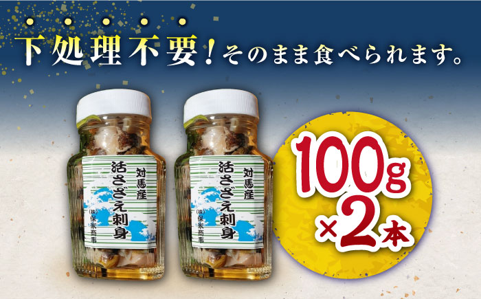 対馬産 活サザエ 刺身 100g×2本《対馬市》【保家商事】 さざえ サザエ 刺し身 海鮮 魚貝 貝 海産物 [WAA008]