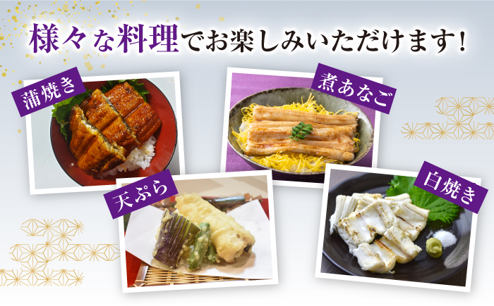 【全3回定期便】対馬産 西沖あなご 200g×3パック《対馬市》【保家商事】 あなご 穴子 アナゴ 海鮮 海産物 魚介 [WAA025]