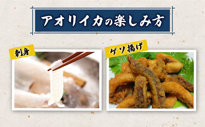 対馬産 アオリイカ 2kg《対馬市》【保家商事】烏賊 いか 刺身 海鮮 冷凍 [WAA030]