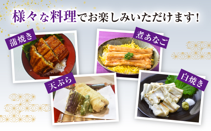 対馬産 西沖あなご 200g×1パック《対馬市》【保家商事】 あなご 穴子 アナゴ 海鮮 海産物 魚介 [WAA044]