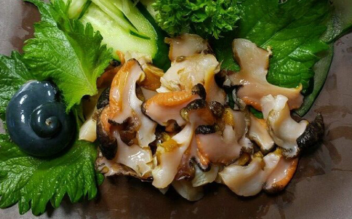 対馬産 天然冷凍サザエ 1kg 《対馬市》【保家商事】さざえ サザエ 刺し身 海鮮 魚貝 貝 海産物 [WAA045]