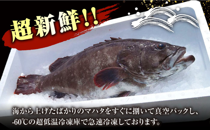 【12/25入金分まで年内発送】【対馬産】高級魚 マハタ 鍋セット 500ｇ（2～3人前）《対馬市》【石川水産】 分厚い 冷凍 新鮮 肉厚 ハタ マス アラ 海鮮鍋 [WAB013]