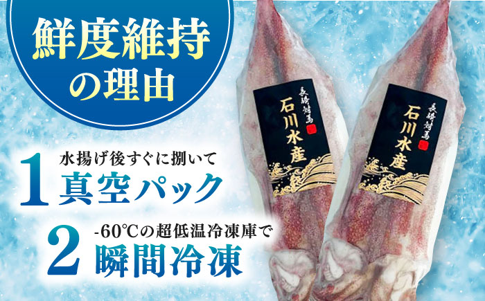 【12/25入金分まで年内発送】【特大】 剣先 イカ （ 生 冷凍 ）2枚 《対馬市》【石川水産】刺身 塩辛 鮮度抜群 海鮮 [WAB027]