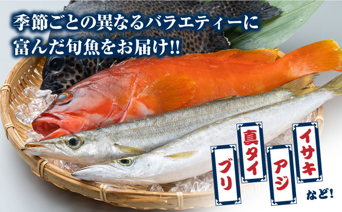 対馬 活〆 島魚 セット 1.5kg《対馬市》【対馬地域商社】九州 長崎 鮮魚 [WAC005]新鮮 鮮度 直送 冷蔵 鮮魚 刺身 海鮮 魚介 鯛めし 煮付け 魚 ぶり まぐろ 刺し身 定置網 おかず 一品 味噌汁 塩焼き 鮪 マグロ