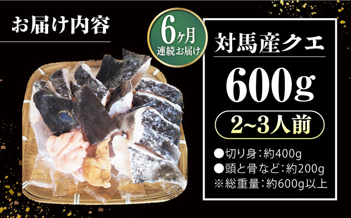 【全6回定期便】対馬 産 クエ 鍋 セット 600g (2～3人前)《対馬市》【対馬地域商社】九州 長崎 海鮮 [WAC034]