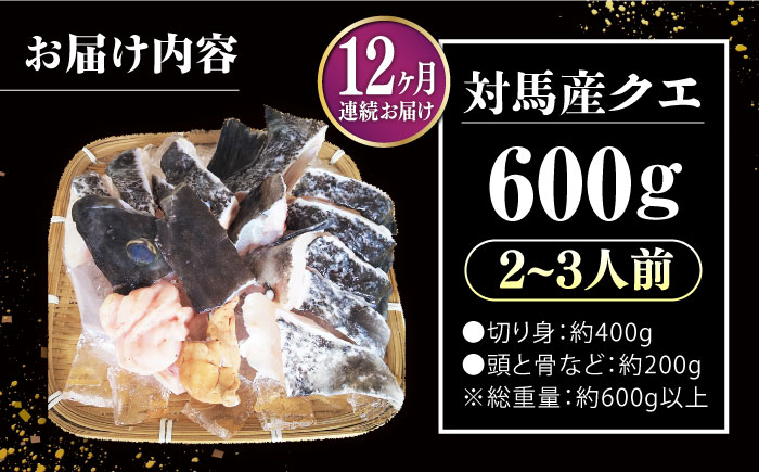 【全12回定期便】対馬 産 クエ 鍋 セット 600g (2～3人前)《対馬市》【対馬地域商社】九州 長崎 海鮮 [WAC035]