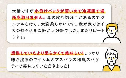 【全3回定期便】剣先いか の耳 3kg 《対馬市》【一般社団法人 対馬地域商社】 シロイカ 新鮮 肉厚 海鮮 BBQ 天ぷら 魚介 おかず いか [WAC047]