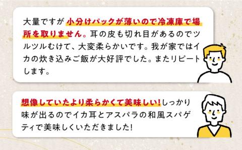 【全6回定期便】剣先いか の耳 3kg 《対馬市》【一般社団法人 対馬地域商社】 シロイカ 新鮮 肉厚 海鮮 BBQ 天ぷら 魚介 おかず いか [WAC048]