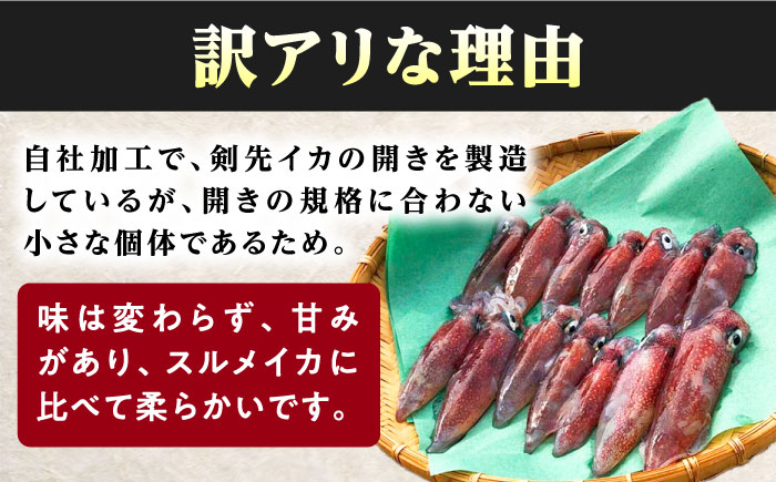 【12/23入金分まで年内発送】おスミ付き！ 訳アリ 剣先イカ 1.8kg(3パック)≪対馬市≫【対馬地域商社】 冷凍配送 新鮮 いか 簡単調理 産地直送 小分け イカスミパスタ [WAC051]