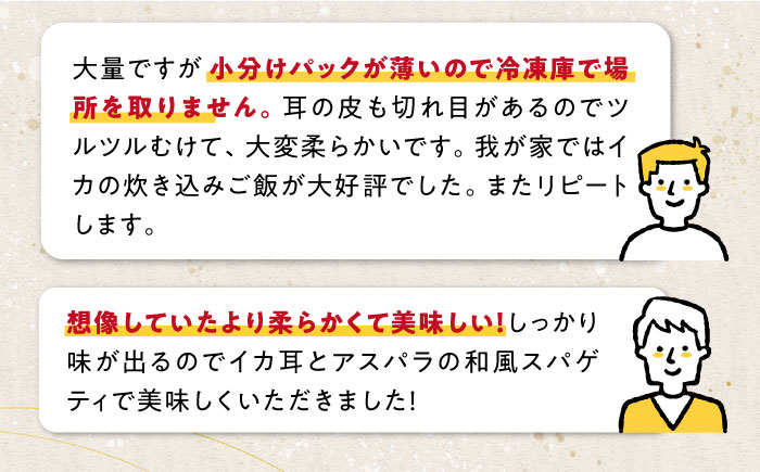 【全2回定期便】剣先いか の耳 3kg 《対馬市》【一般社団法人 対馬地域商社】 シロイカ 新鮮 肉厚 海鮮 BBQ 天ぷら 魚介 おかず いか [WAC060]