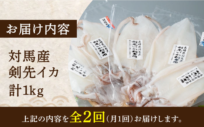 【全2回定期便】剣先 イカ 刺身 セット 1kg《対馬市》【海風商事】あかいか まるいか 九州 長崎 対馬 刺身 冷凍 ギフト 海鮮 魚介 魚介類 [WAD051]