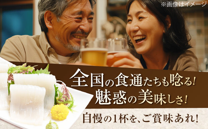 ヤリイカ お刺身用 500g 《対馬市》【海風商事】 小分け 刺身 いか イカ ヤリイカ 新鮮 海鮮 冷凍 [WAD053]