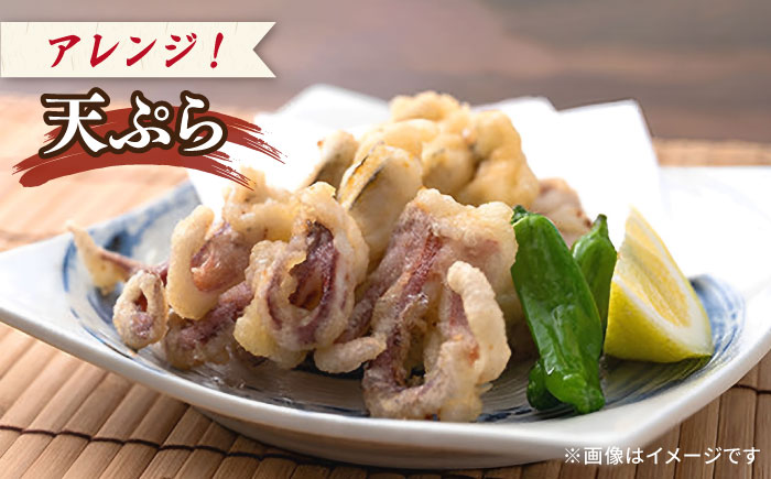 剣先イカ 750g(約6～8本) セット【丸徳水産】《対馬市》鮮度抜群 新鮮 ケンサキイカ シロイカ 下処理済 刺身 BBQ 惣菜 天ぷら フライ 海鮮 [WAE012]