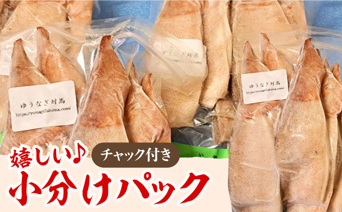 ふぞろい の 烏賊(コイカ) たち 2024《対馬市》【ゆうなぎ対馬】イカ いか 生冷凍 新鮮 簡単調理 海鮮 魚介 煮物 揚げ物 焼き物 [WAG022]