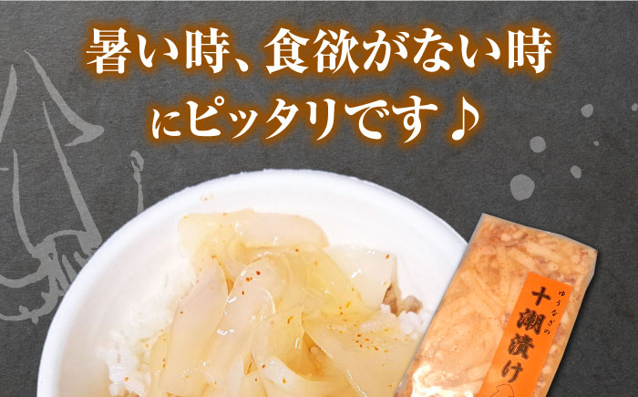 ゆうなぎ の 十潮(としお)漬け《対馬市》【ゆうなぎ対馬】イカ おかず 簡単 惣菜 ご飯に合う 時短調理 冷凍 [WAG023]
