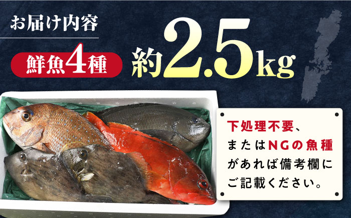 【期間限定！】対馬産 鮮魚 詰め合わせ 4種前後 2.5ｋｇ《対馬市》【対海】新鮮 天然 直送 冷蔵 セット [WAH021]