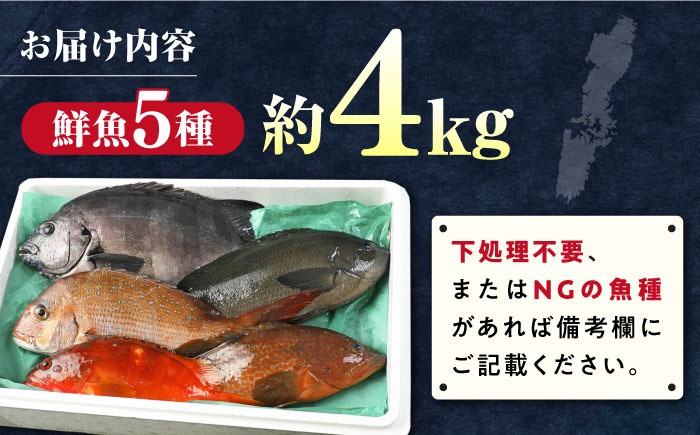 【期間限定！】対馬産 鮮魚 詰め合わせ 5種前後 4.0ｋｇ《対馬市》【対海】新鮮 天然 直送 冷蔵 セット [WAH022]
