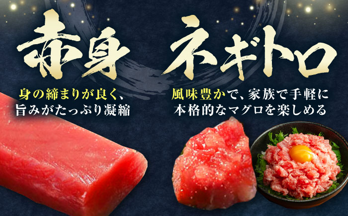 【12月中にお届け】対馬産 本マグロ 4種 計1.1kg（赤身/中トロ/大トロ/ネギトロ）《対馬市》【対海】 冷凍配送 食べ比べ 新鮮 手巻き寿司 海鮮丼 贈り物 [WAH028-12]