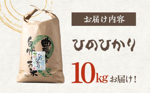 【R7年産新米】対馬産 ひのひかり 10kg「ほたる舞う三根川の米」《対馬市》【永留しいたけ農園】 米 お米 ご飯 ごはん 白米 10kg 10キロ 産地直送 ランキング 送料無料 贈答用  新米 [WAJ003]