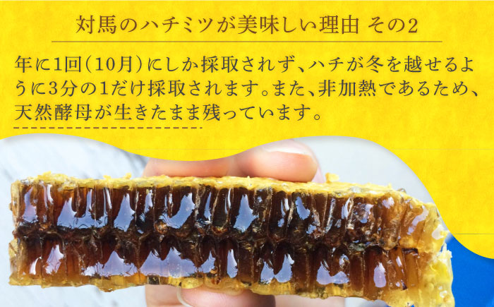 【12/22入金分まで年内発送】【超希少】対馬 和蜂 はちみつ 600g×2 《対馬市》【特定非営利活動法人 對馬次世代協議会（対馬コノソレ）】 蜂蜜 ハチミツ 日本ミツバチ 二ホンミツバチ [WAM030]