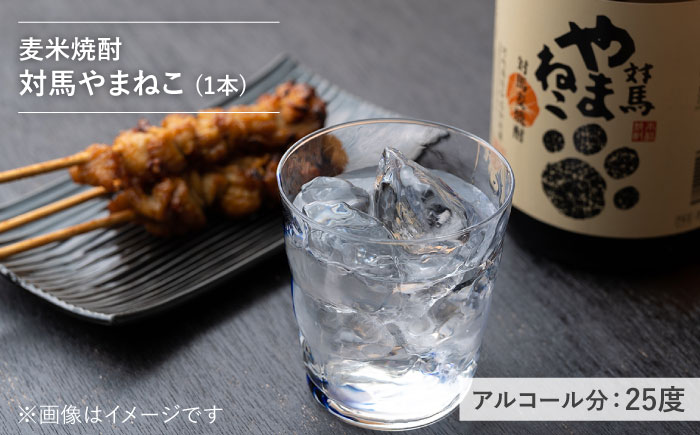 【全3回定期便】芋焼酎 麦米焼酎 本格焼酎一升瓶 2本 セット 《対馬市》【白嶽酒造株式会社】 [WAN030]