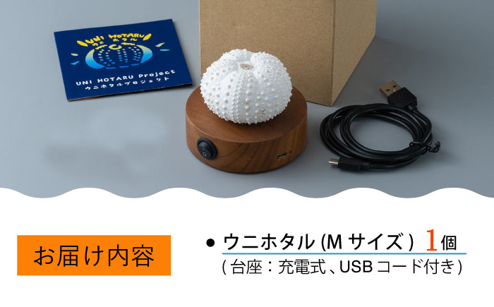 うにランプ(USB端子) : Geonoyウニナイトライト、クリエイティブなビーチを