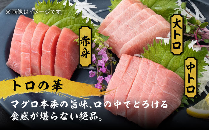 べっぴんあなご・トロの華の詰め合わせ《対馬市》【桐谷商店】対馬 新鮮 マグロ 大トロ ふわふわ 穴子 魚介 刺身 鮮度抜群 [WAQ002]