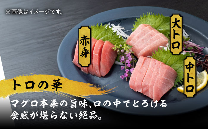 【全12回定期便】べっぴんあなご・トロの華の詰め合わせ《対馬市》【桐谷商店】対馬 新鮮 マグロ 鮪 赤身 中トロ 大トロ アナゴ 穴子 魚介 刺身 鮮度抜群 ご褒美 [WAQ011]