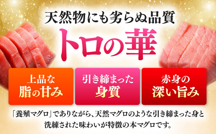 訳あり！対馬産 本マグロ 切り落とし 490g（7パック） ≪対馬市≫【桐谷商店】 トロの華 冷凍 新鮮 海鮮 小分け マグロ [WAQ027]
