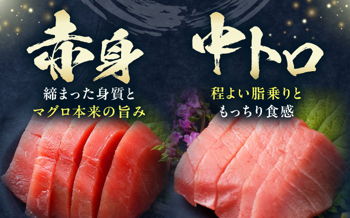 【全3回定期便】対馬産 本マグロ 1kg（赤身500g、中トロ500g） ≪対馬市≫【桐谷商店】 トロの華 対馬 新鮮 マグロ トロ 鮪 刺身 鮮度抜群 [WAQ052]