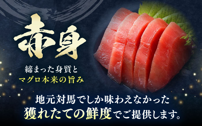 対馬産 本マグロ 500g（赤身200g、中トロ200g、大トロ100g）≪対馬市≫【桐谷商店】 トロの華 対馬 新鮮 マグロ 大トロ 鮪 刺身 鮮度抜群 [WAQ055]