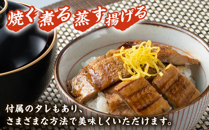 【全12回定期便】対馬産 穴子 詰め合わせ 15PAC《 対馬市 》【対馬水産株式会社】対馬 新鮮 とろ あなご ふわふわ 煮穴子 冷凍 海鮮 [WAV012]