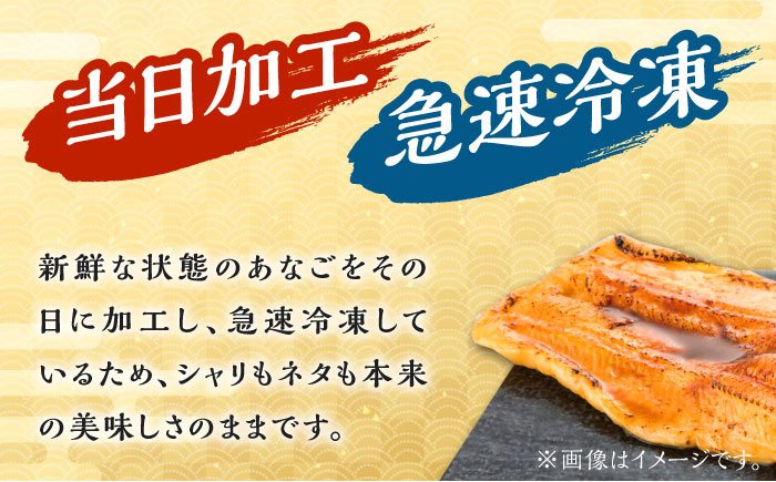対馬産　西のとろあなご　にぎり寿司　9PAC《対馬市》【対馬水産】 新鮮 冷凍 寿司 名物 時短 簡単調理 穴子 穴子寿司 あなご 海鮮 魚介 すし 希少 [WAV015]