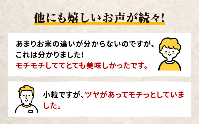 対馬産 佐護米 5kg 《対馬市》【サイキ】 白米 米 お米 ご飯 ごはん 5kg 5キロ 産地直送 ランキング 送料無料 贈答用 未検査米 [WAX043]