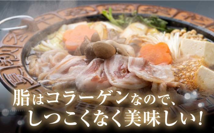 猪肉メスの極上バラスライス【株式会社対馬またぎ】《対馬市》 BBQ 焼肉 鍋 猪肉 肉 ジューシー おつまみ [WBD001]