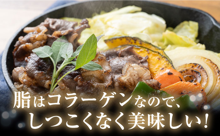 猪肉メスの極上ローススライス【株式会社対馬またぎ】《対馬市》 BBQ 焼肉 鍋 猪肉 肉 ジューシー おつまみ [WBD003]