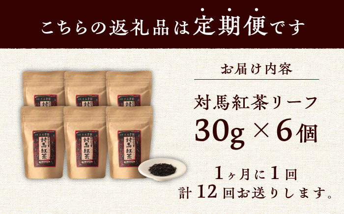 【全12回定期便】対馬 紅茶 リーフ 30g×6個 《対馬市》【つしま大石農園】ティー 国産 [WBE007]