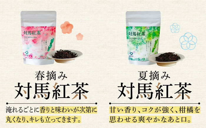 対馬の本格和紅茶セット《対馬市》【つしま大石農園】長崎 対馬 ティー お茶 飲料 飲み物 [WBE013]