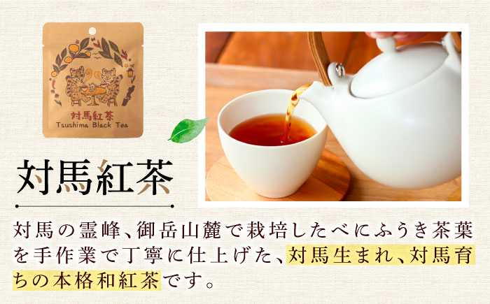 【12/21入金分まで年内発送】対馬紅茶プレミアム ティーバッグ2.5g×2包 5袋セット《対馬市》【つしま大石農園】長崎 対馬 ティー お茶 飲料 [WBE015]