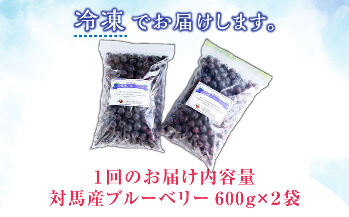 【全3回定期便】 大容量 対馬産 ブルーベリー （ 冷凍 ） 1.2kg【 さほの里ファーム 】《 対馬市 》 離島 対馬 有機肥料 旬 果物 フルーツ [WBG002]