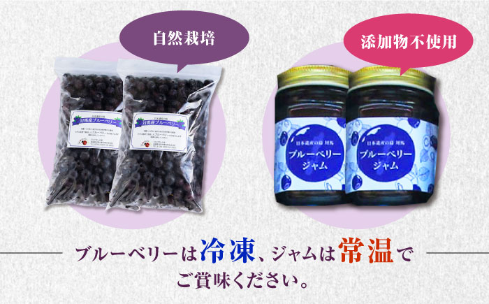 対馬産 ブル－ベリ－ ＆ ジャム セット《対馬市》【さほの里ファーム】 ブルーベリー フルーツ 詰め合わせ 朝食 新鮮 果実 ギフト [WBG007]