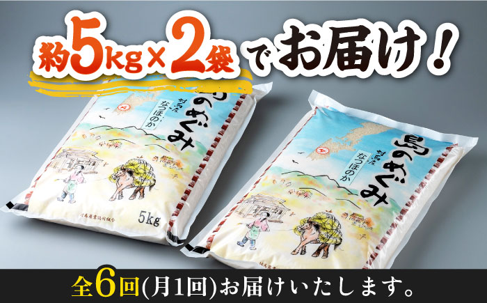 【全6回定期便】対馬産「 なつほのか 」10kg 5kg×2【2024年10月以降順次発送】【対馬農業協同組合】《対馬市》 白米 米 お米 ご飯 ごはん 10kg 10キロ 産地直送 ランキング 送料無料 贈答用 定期便 [WBM007]