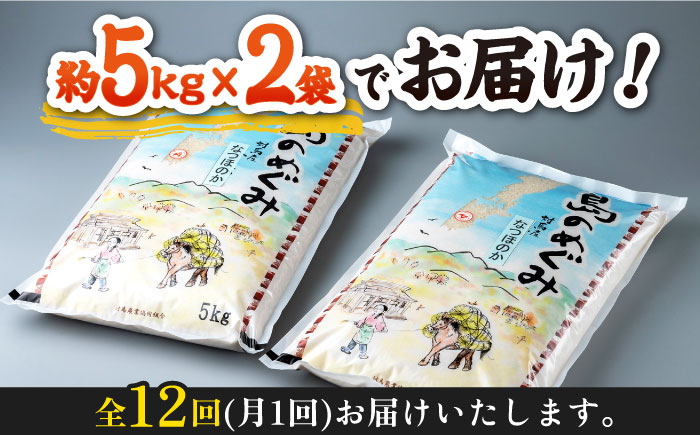 【全12回定期便】対馬産「 なつほのか 」10kg 5kg×2【対馬農業協同組合】《対馬市》 白米 米 お米 ご飯 ごはん 10kg 10キロ 産地直送 ランキング 送料無料 贈答用 定期便 [WBM008]